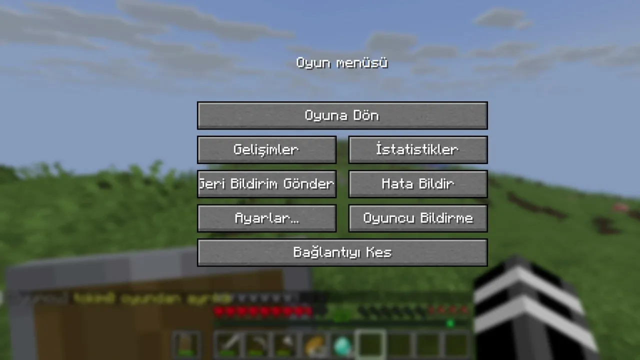 minecraft oynuyoruz