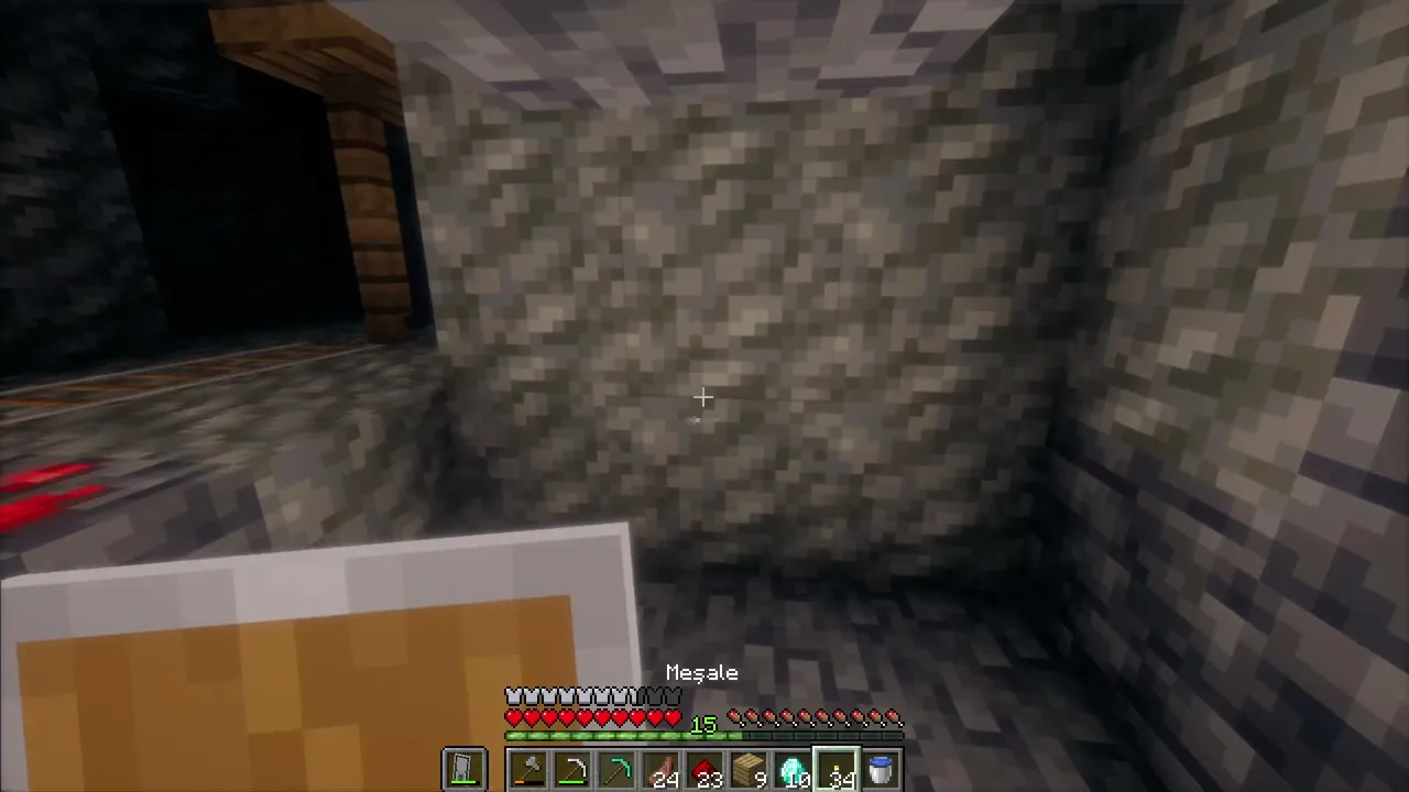 Minecraft Survival/1