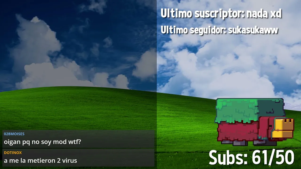 hola tonotos