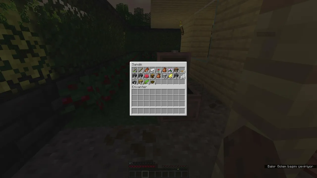 Minecraft ekiple SMP