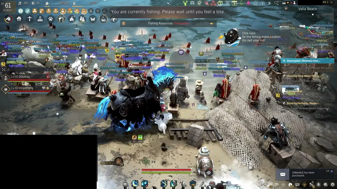 Black Desert