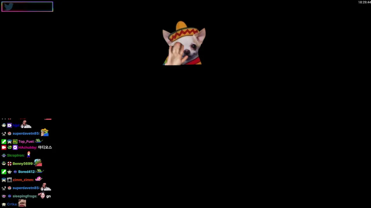 Reviewing Memes | Stream in San Francisco! Day 4!