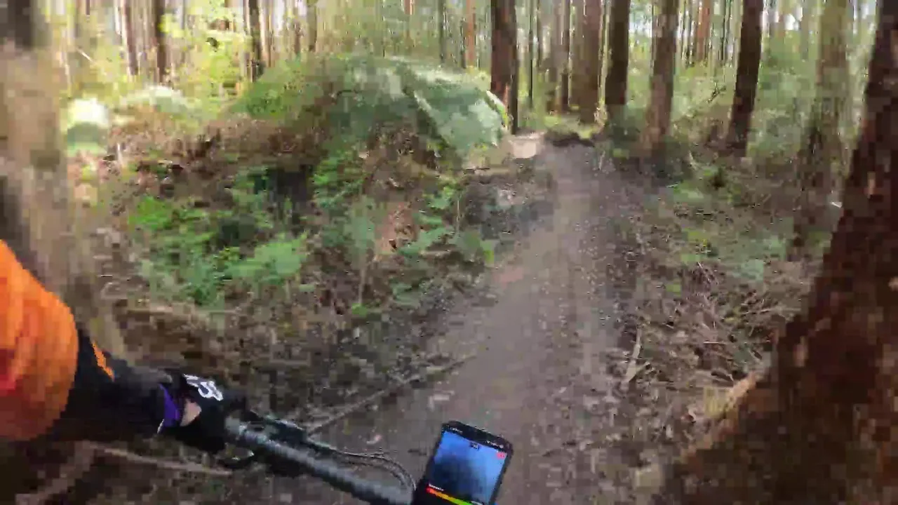 MTB Riding in Australia