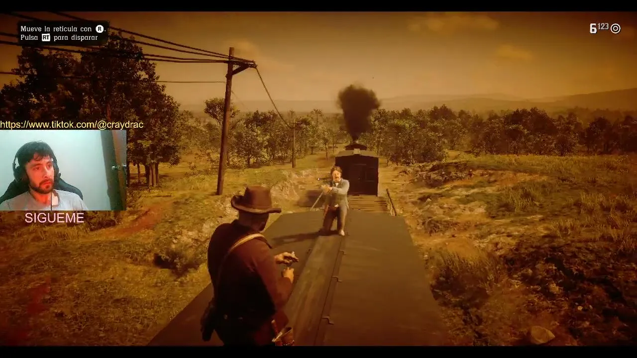 Red Dead Redemption 2
IRL