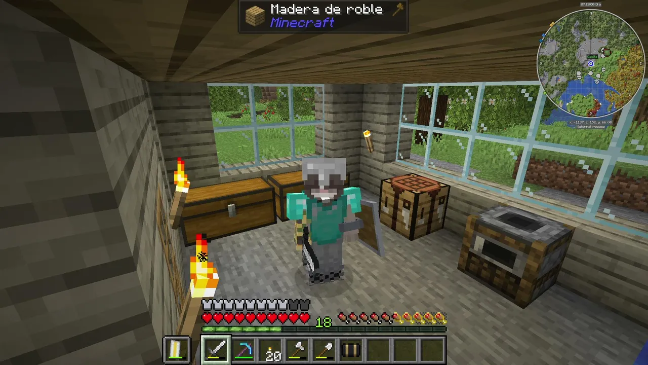Construyendo PuchiLand / minecraft con mods