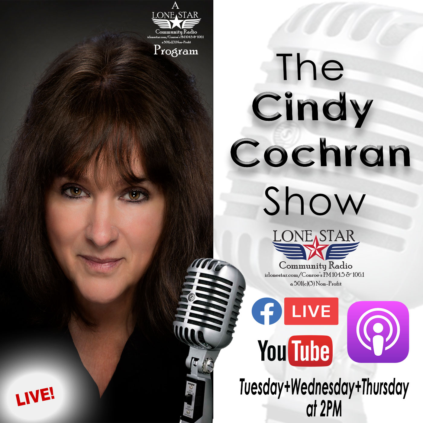 The Cindy Cochran Show