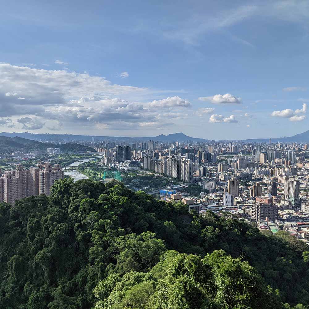 Lion Cub Mountain and Japan return plans