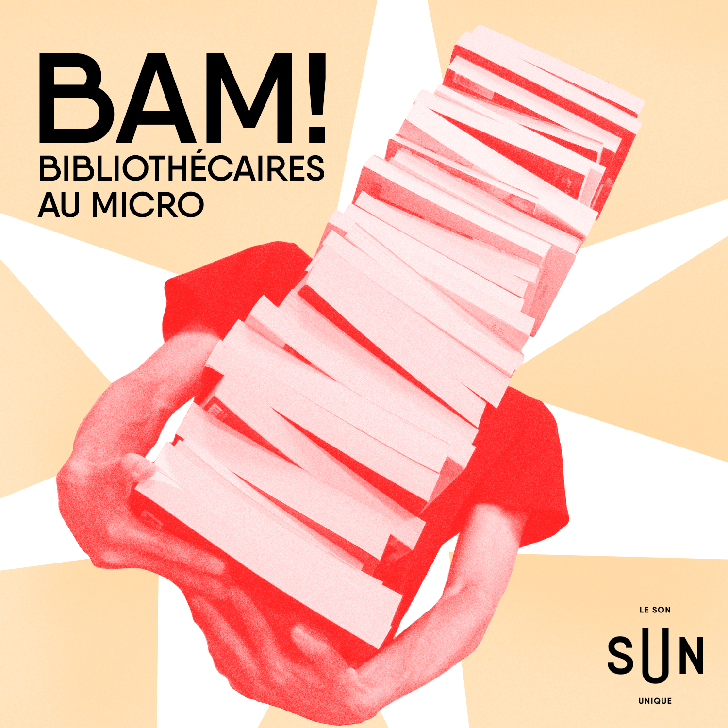 Le Polar - BAM! - 240626