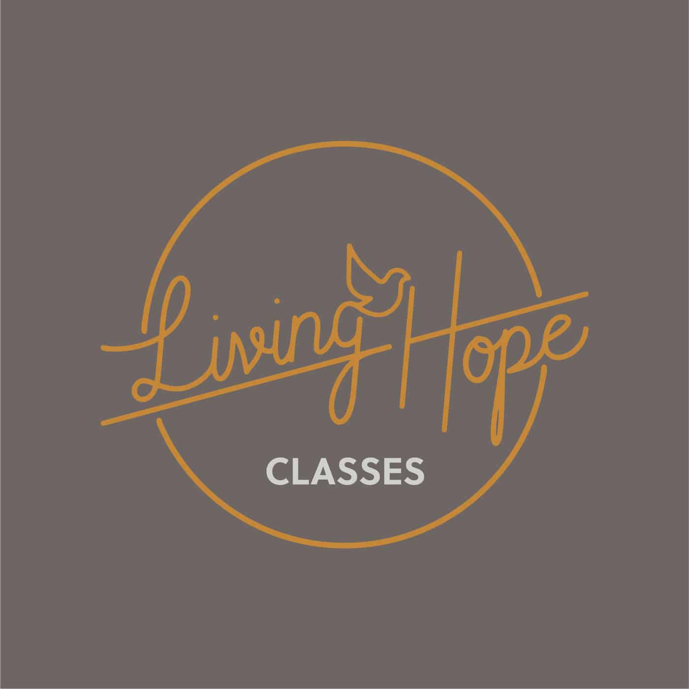 LHIM Classes