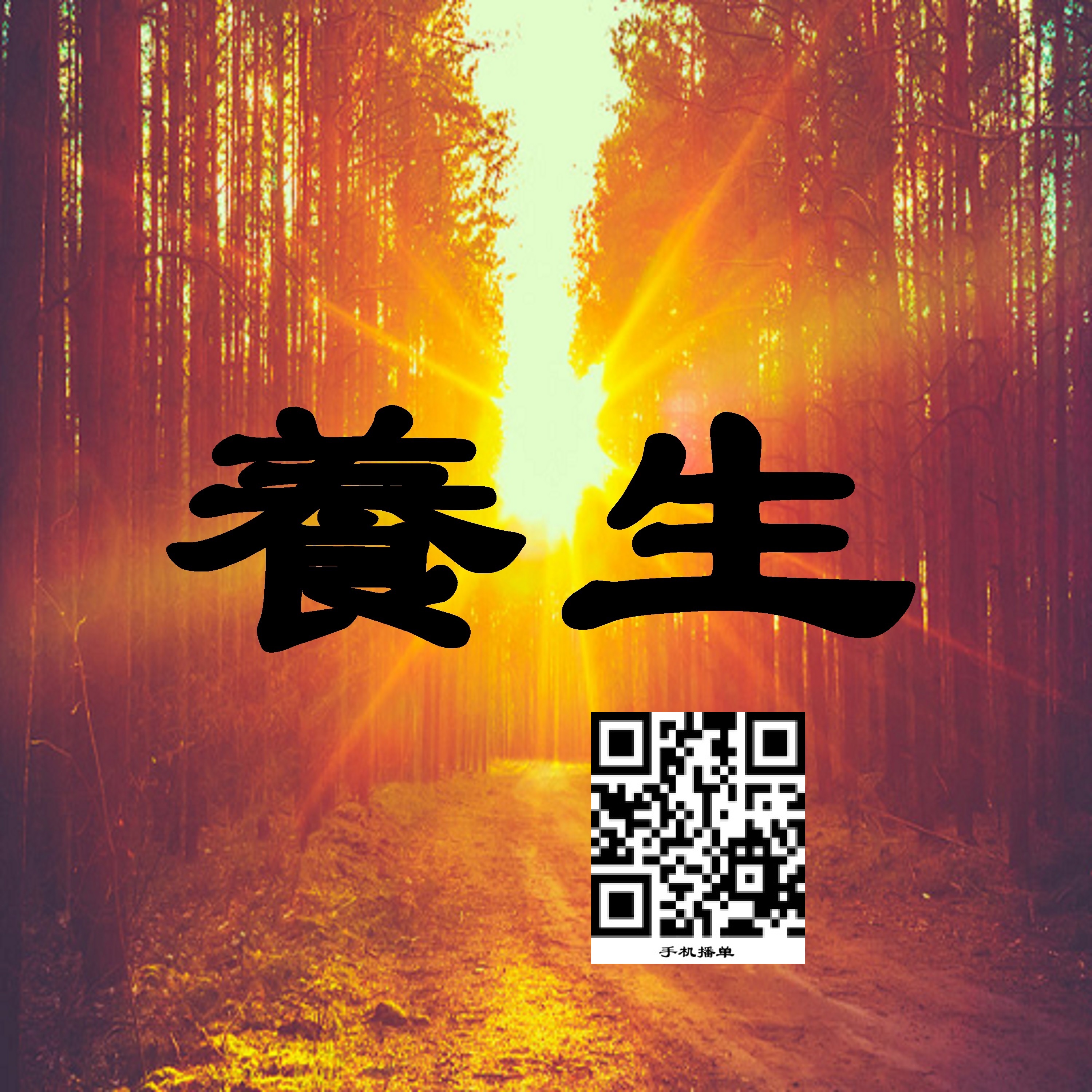 è§†é¢‘æ’­å®¢ï¼šå…»ç”Ÿ+æ–°é—»è¯„è®º