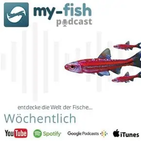 my-fish.org â€“ Aus Freude an der Aquaristik (Aus Freude an der Aquaristik Podcast)