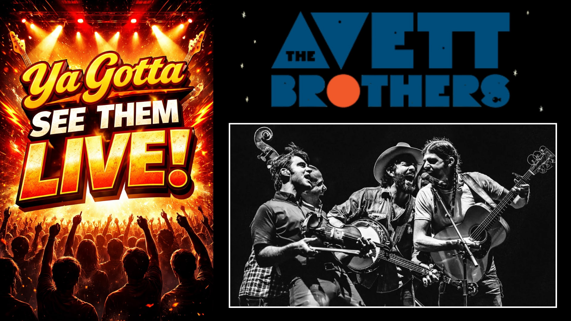 Ya Gotta see Them Live – The Avett Brothers