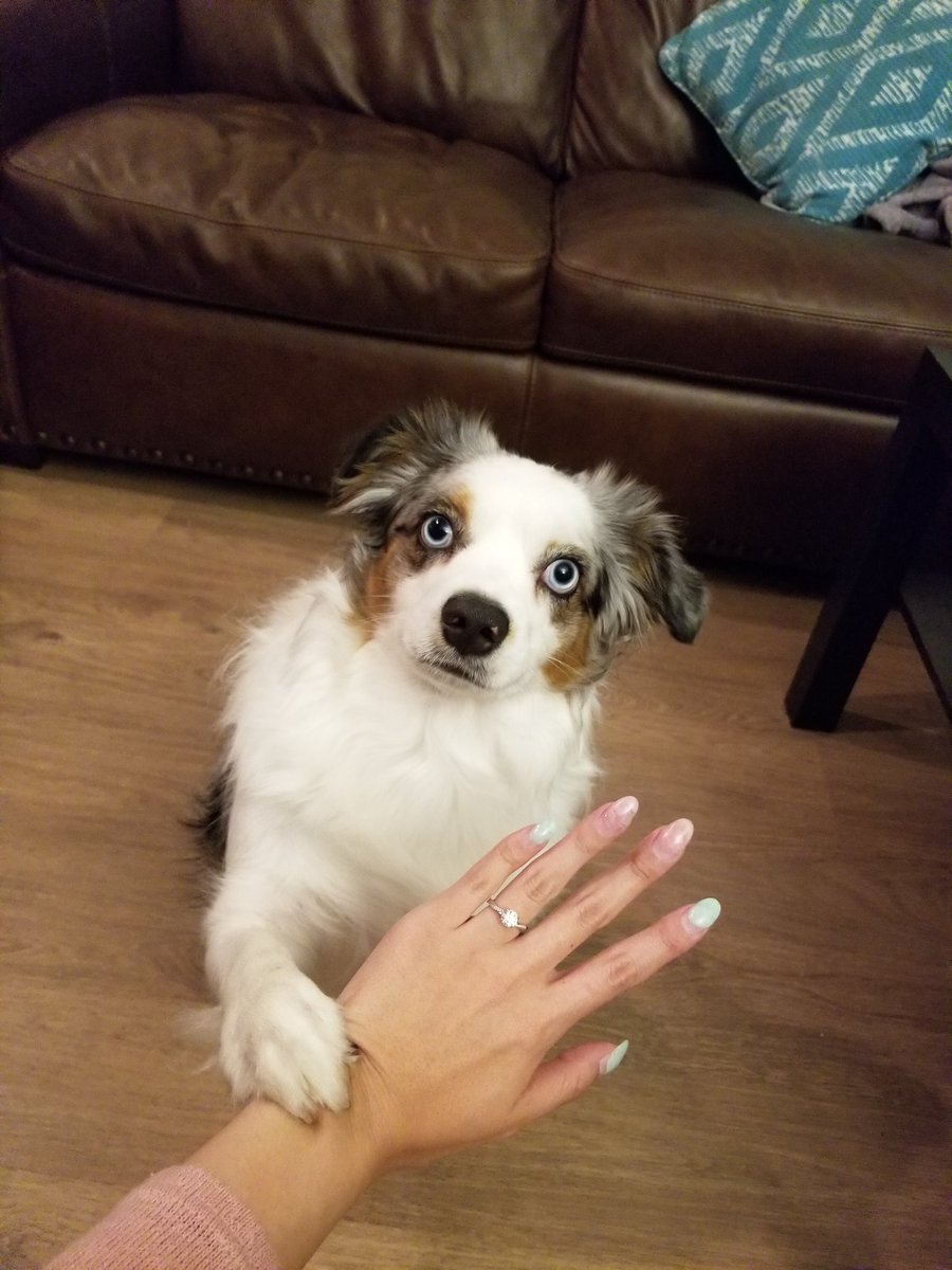 I asked Joanne to marry me and she said yes! 😁

(Stitch helped too) 