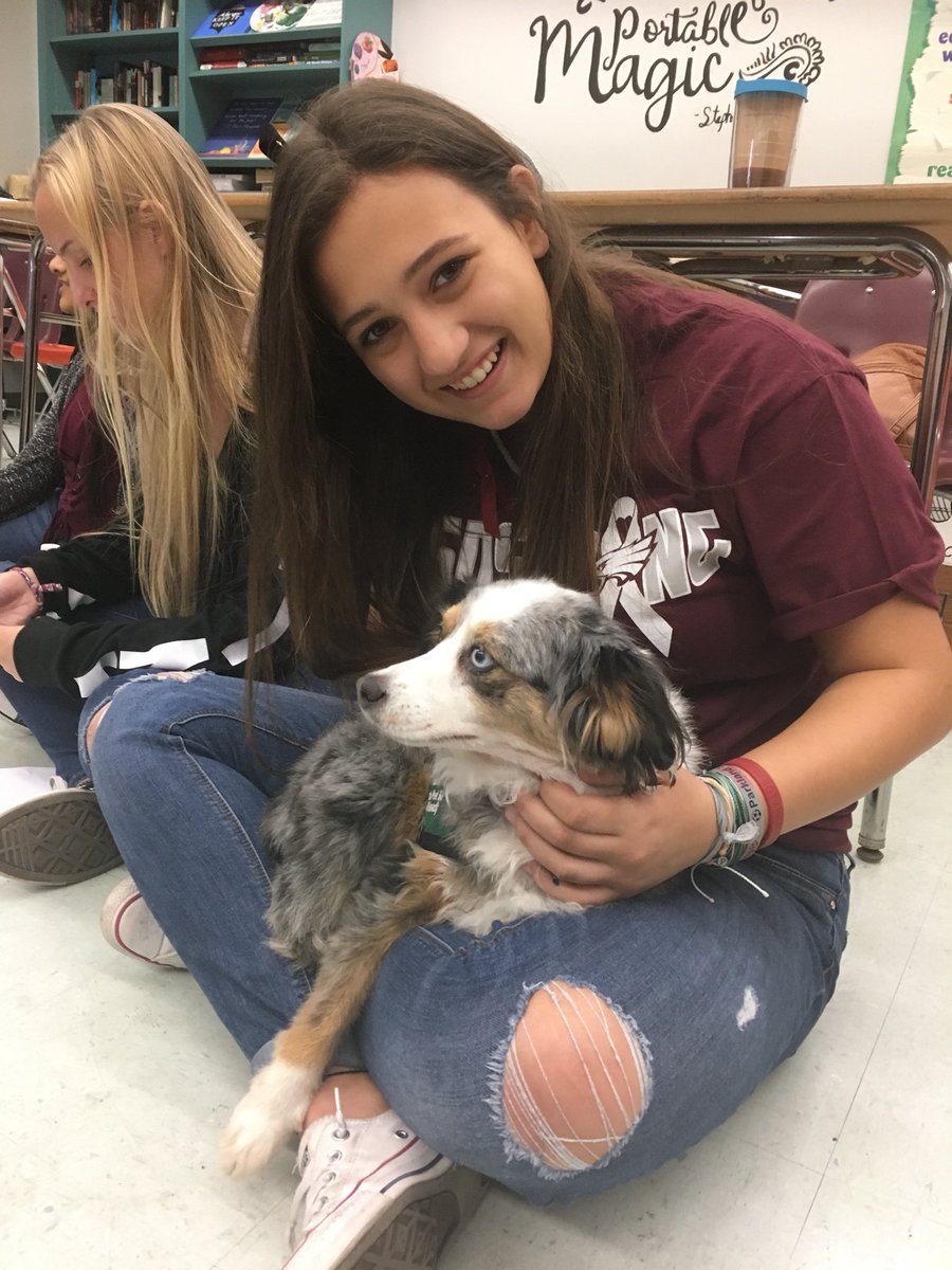 Twitter sucks today, so here’s some pics the Parkland kids texted me of their back-to-school therapy dogs 