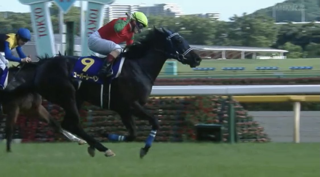 オークス(GI)を優勝したのは、#ユーバーレーベン！

#ゴールドシップ の娘が、見事「３歳牝馬の頂点」に立つ！今年も素晴らしいレースだったね。おめでとう！

#うまび #オークス #デムーロ 