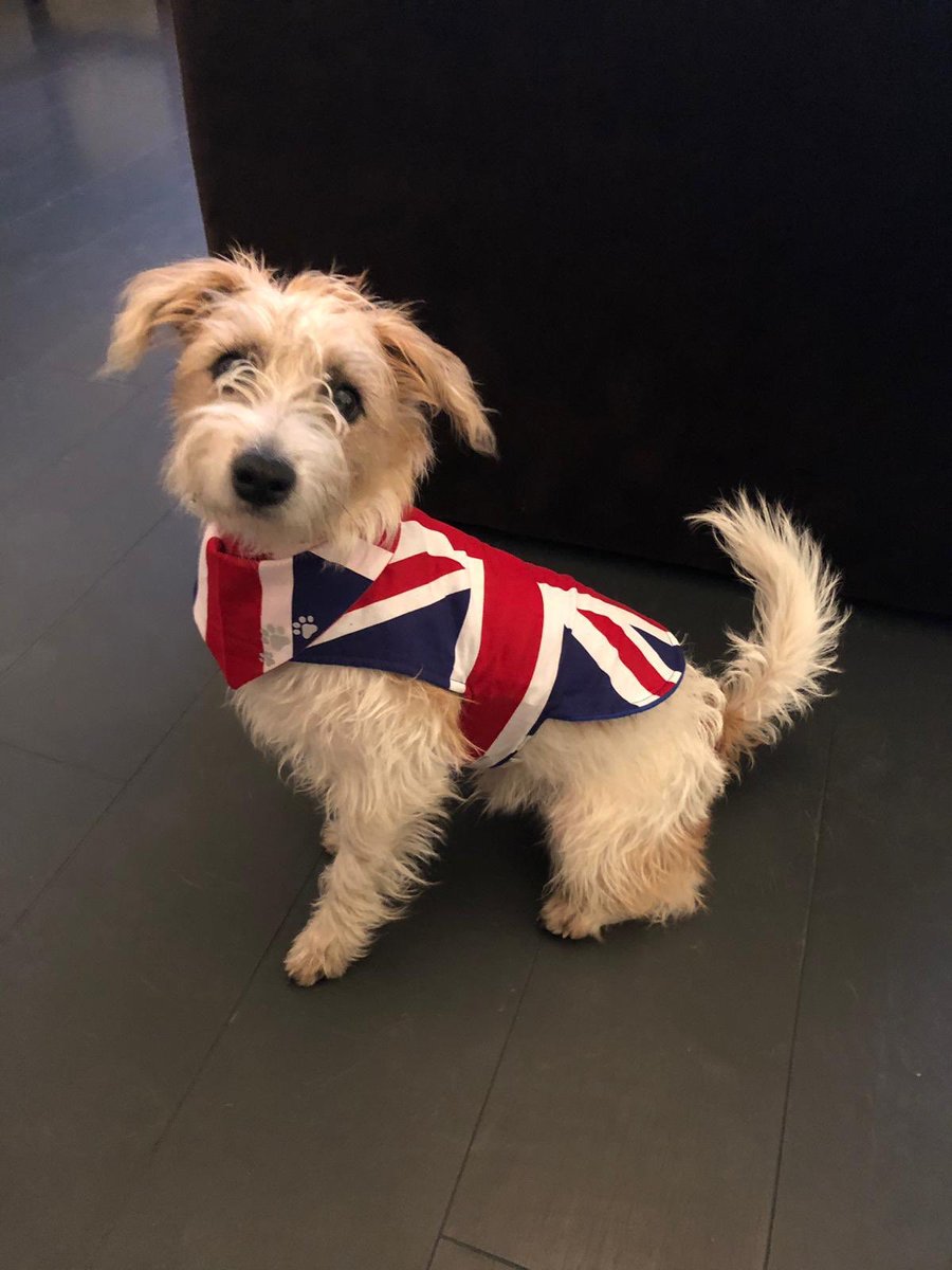 🇬🇧 