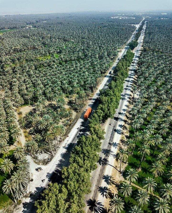 This is Khairpur Sindh, the place of Dates in Pakistan 