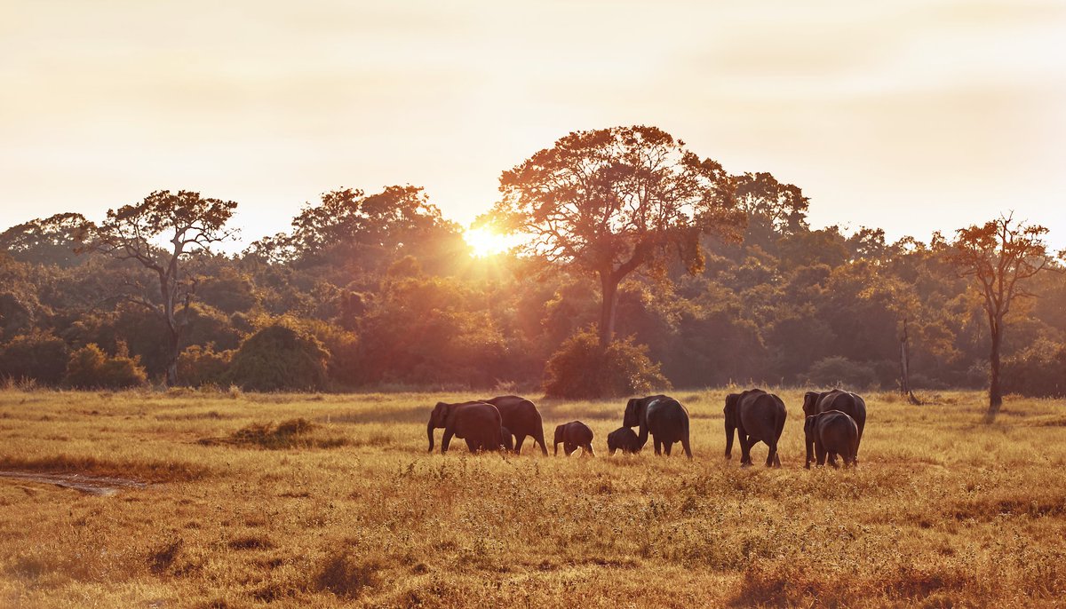 We live in a beautiful world

#WorldWildlifeDay 