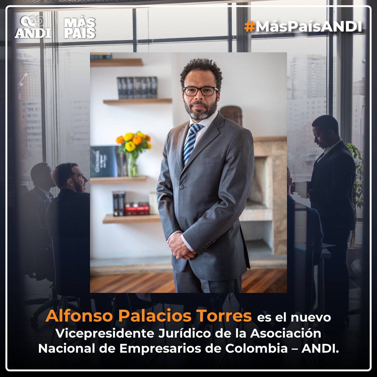 Alfonso Palacios Torres es el nuevo Vicepresidente Jurídico de la ANDI. 
El doctor en Derecho Constitucional de la Universidad Autónoma de Madrid y especialista en Derecho Constitucional y Ciencias Políticas acumula más de 20 años de experiencia, tanto en el ámbito judicial, como 