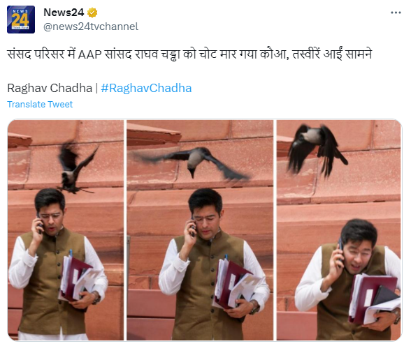 झूठ बोले कौवा काटे! 