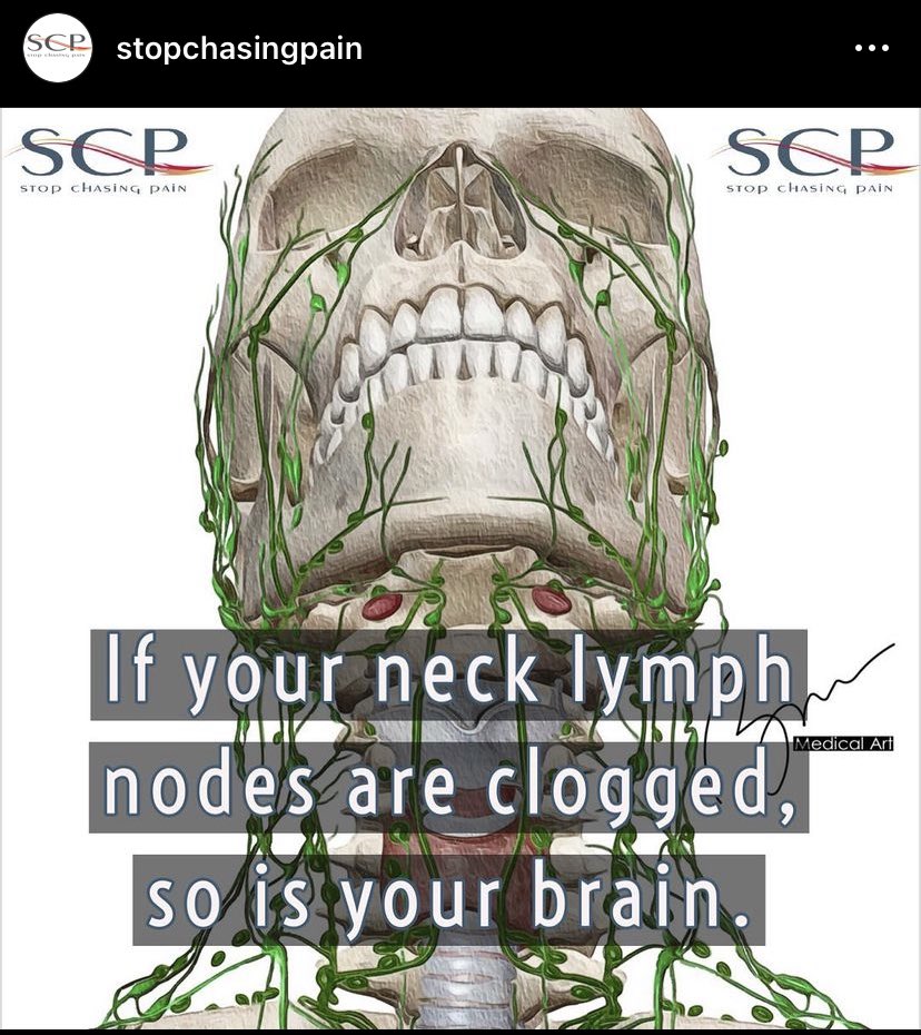 "1/3 of your 600-700 lymph nodes are in your neck as they are the brain toilet. 

Always clear the neck to help your brain function better. Start massage at collarbone always. Open main drain for muck. That's waste.
Yes, your brain has a waste clearance system called the 