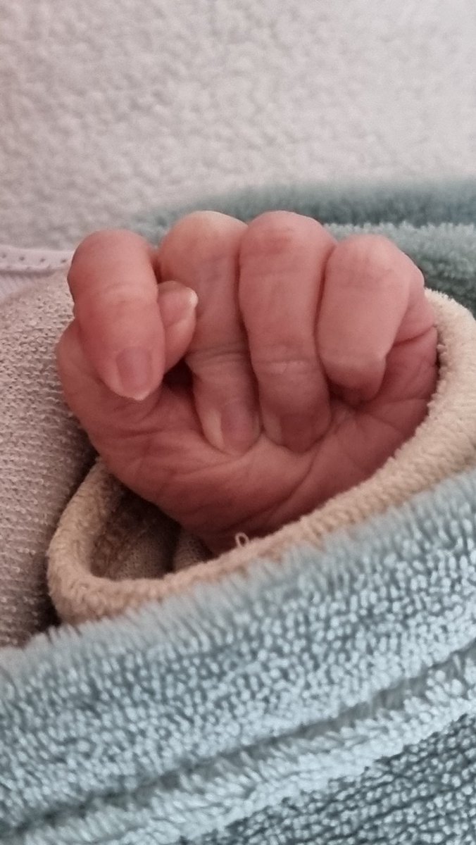 Trop heureux de vous annoncer que la famille s'est agrandie hier ! Bienvenue à toi Romy. ❤️ 