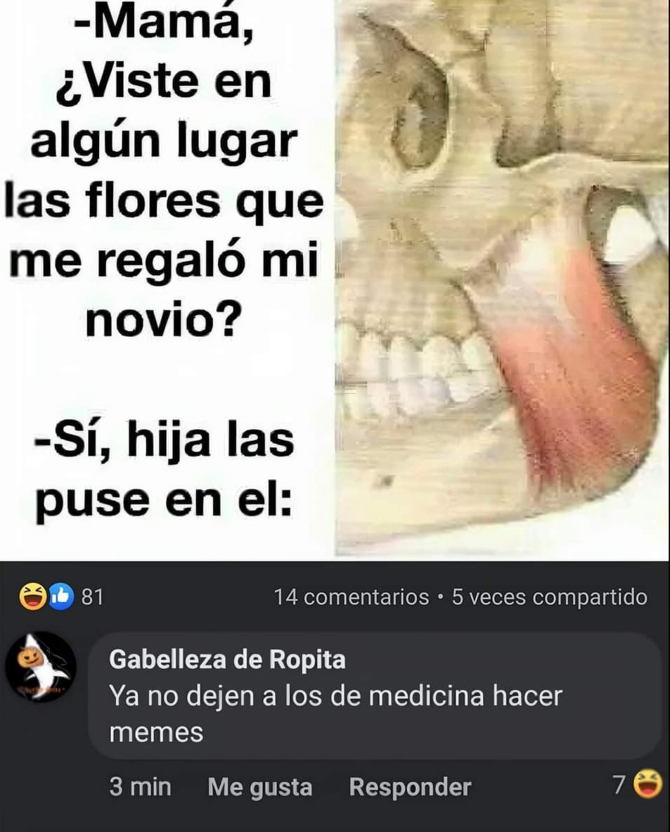 En el que 