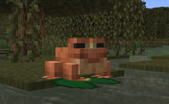 Añadieron batracios a Minecraft!!! 🐸 @WillyrexYT lo predijo hace 10 años! 🤯 