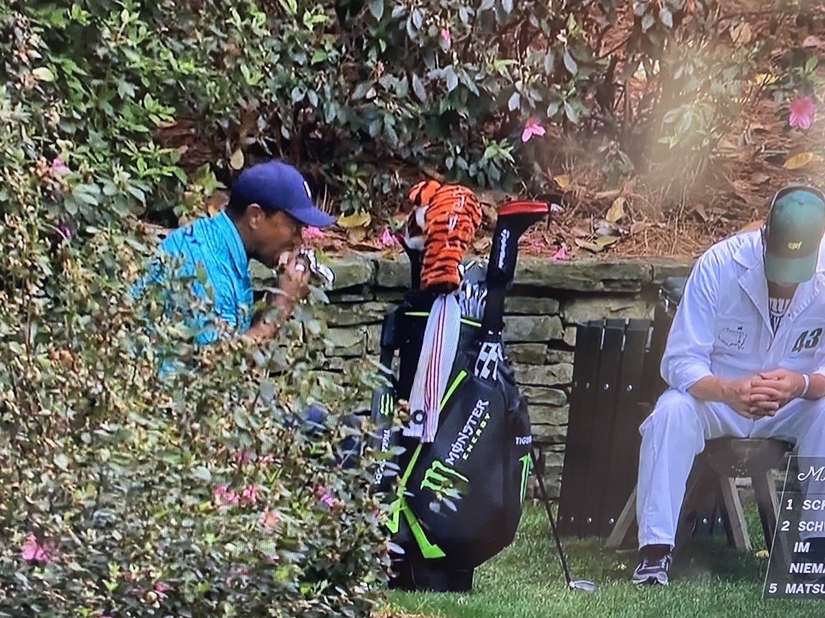 This might be the most relatable thing Tiger Woods has ever done. 