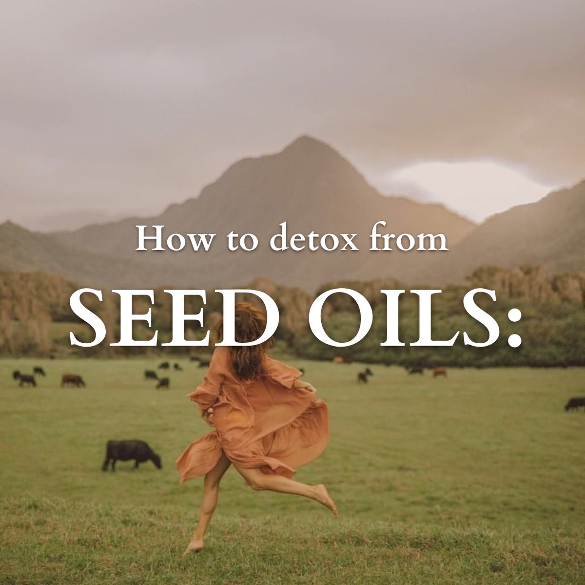 Seed oils cause brain damage, make you fat, and turn into cellulite.

Even worse, they stick around in your body for over 7 years, even if you stop eating them today.

But if you want to speed up the process? Read (and bookmark) this secret tip: 