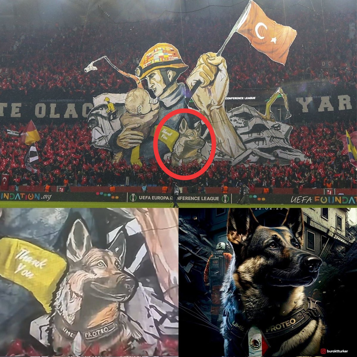 ¡GRACIAS TURQUIA! 🇲🇽🥺🇹🇷🫂

Hoy el equipo turco Trabzonspor le hizo un Tifo a los cuerpos de rescate que han ayudado después del desvatador terremoto

En el Tifo se pudo observar a Proteo, el perro rescatista mexicano que perdió la vida buscando sobrevivientes 