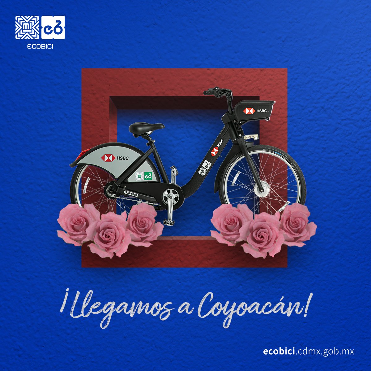 ¡La espera terminó! Disfrutemos de tan bonita alcaldía en ECOBICI, ¿quién dice yo? ✋🏼🤩🚴🏼
Compártenos tus recorridos usando: #ECOBICIEnCoyoacán 🚴🏼💚 