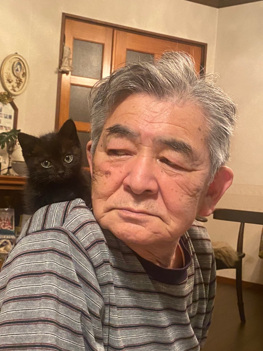 母に「お父さん青汁か何か飲んでる?」と聞いたら…「猫」って返信がきて笑ってる

←2年前
→現在 