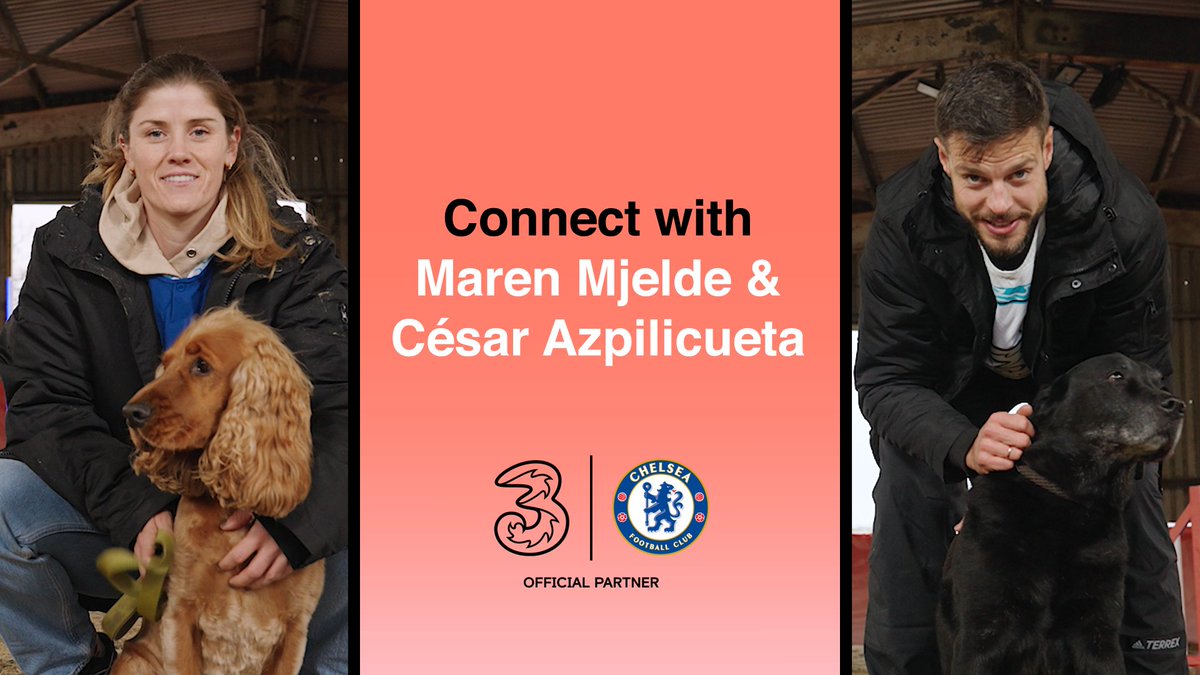 Two Chelsea FC players, Maren Mjelde, Cesar Azpilicueta &amp; host Olivia Buzaglo are talking about all things Dogs this episode 🐕‍🦺
There's guessing games, look-a-likes and an agility course. Who comes out on top?! 🤔
#ConnectWith #ChelseaFC 
