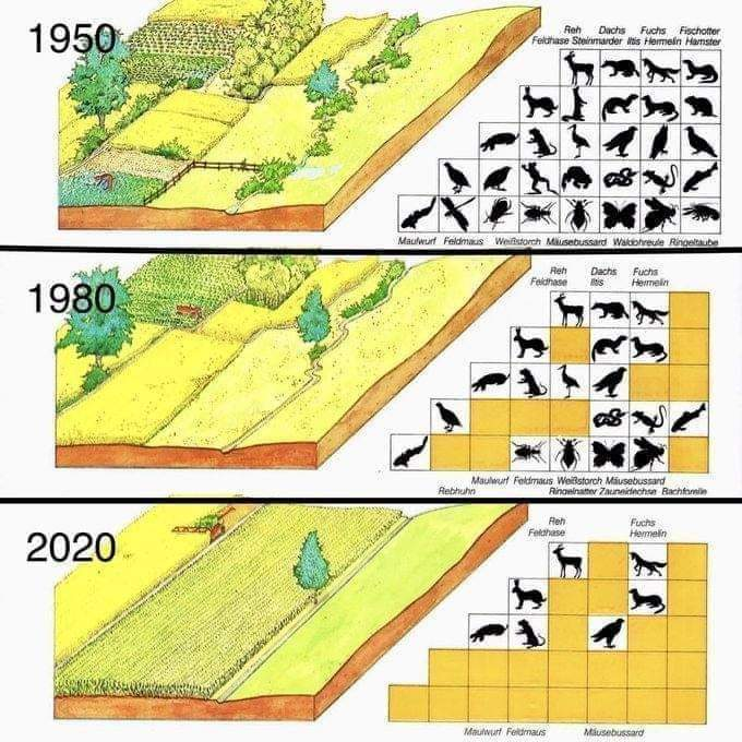 Problem is that after a few years, most people normalize extreme climate as normal
They also normalize disappearance of world Bees insects birds wildlife, marine life, forests wetlands and their replacement with a sterile barren lifeless landscape as normal 