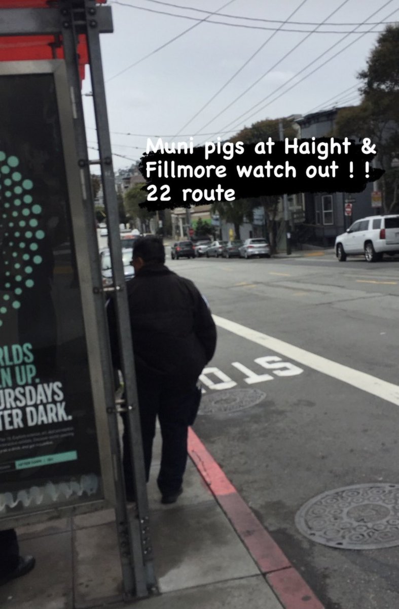 muni fare cops at Haight/Fillmore waiting for north (bay st) bound 22 buses. (1pm) 