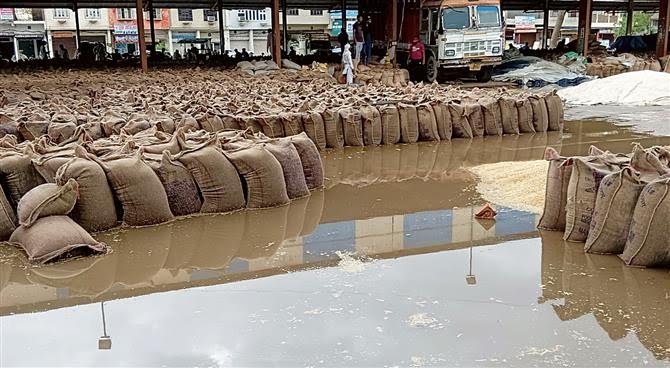 After the rains in the past few days, wheat bags in Punjab and Haryana mandis drenched, lie in a pool of water. This is a scene that has not changed for the past 30 years. The pressing question is why can't public investment be made for upgrading mandi infrastructure? 