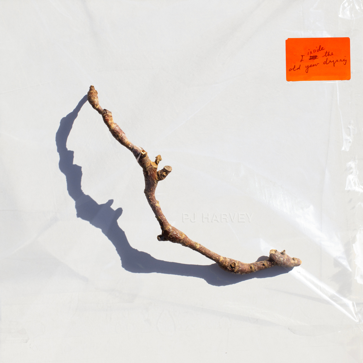 PJ Harvey's tenth studio album 'I Inside the Old Year Dying' will be released July 7th 2023 on Partisan Records, and is available to pre-order on gatefold 140g vinyl and CD, along with some newly designed merchandise:

https://t.co/YVd7EnKMTi

#iinsidetheoldyeardying 