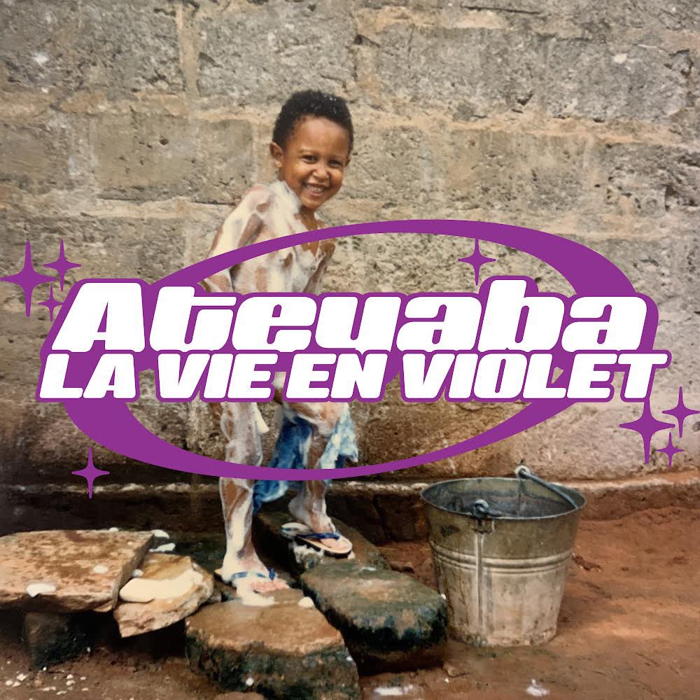La Vie En Violet mon 2e album out le 14/7.   https://t.co/UGvPVqeqEu pour précommander CD/Vinyl/Merch 📈 lets start the show 
