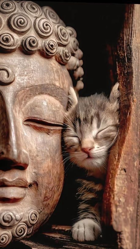 Be kind to all creatures 
This is the true religion. 

The Buddha 