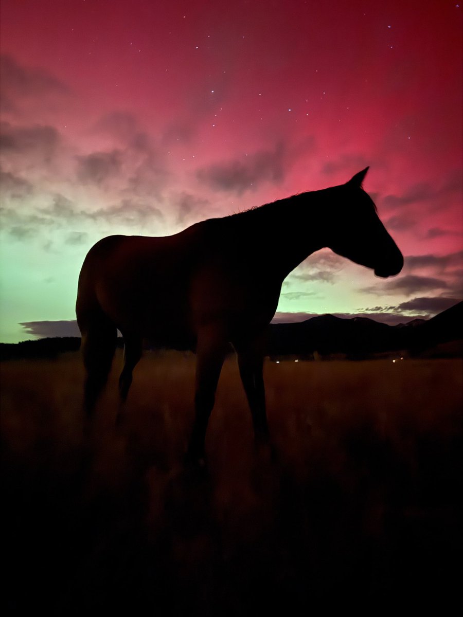 Northern lights near Livingston, Montana 