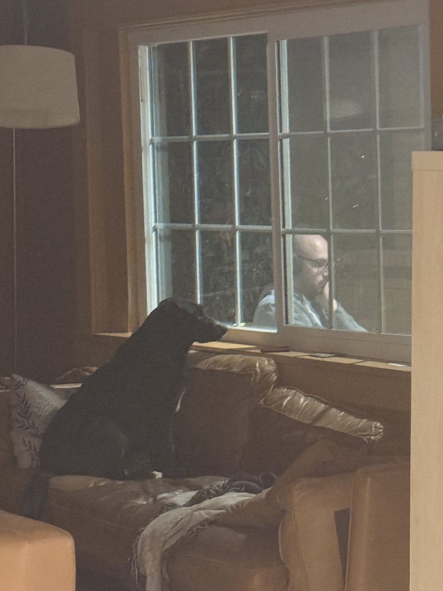 My bf is outside (my dog’s favorite) but he is smoking a cigar (my dog’s least favorite) so now she just has to yearn 