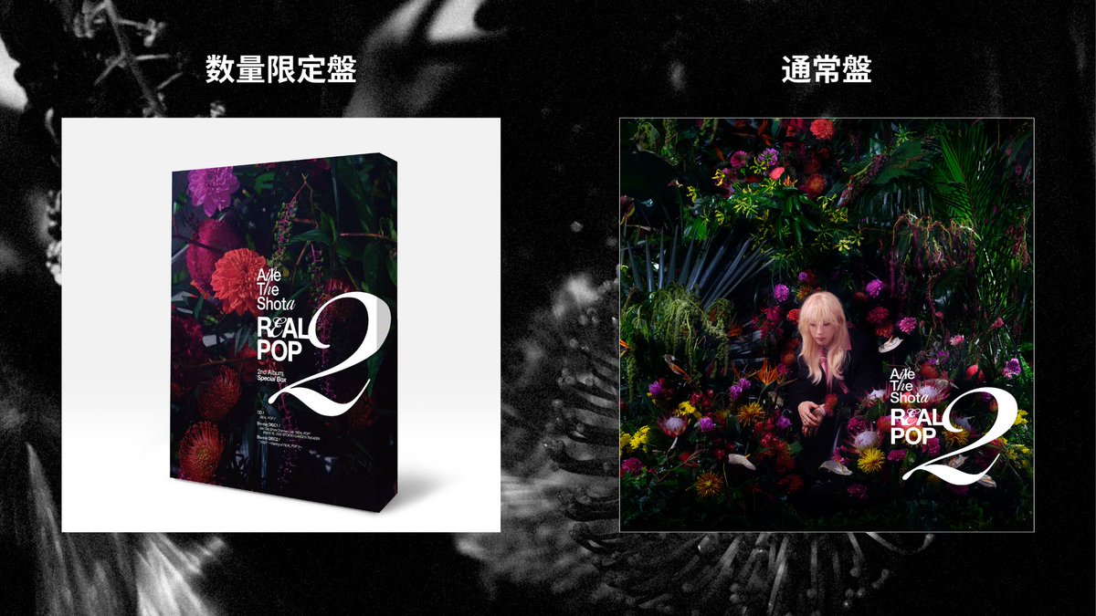 情報解禁祭
『REAL POP2』 &amp; “キセキセツ”

#ATS_4thAnniversary 
#AileTheShota 