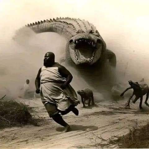 “Why you jump in your sleep?”
My dreams🤣🤣: