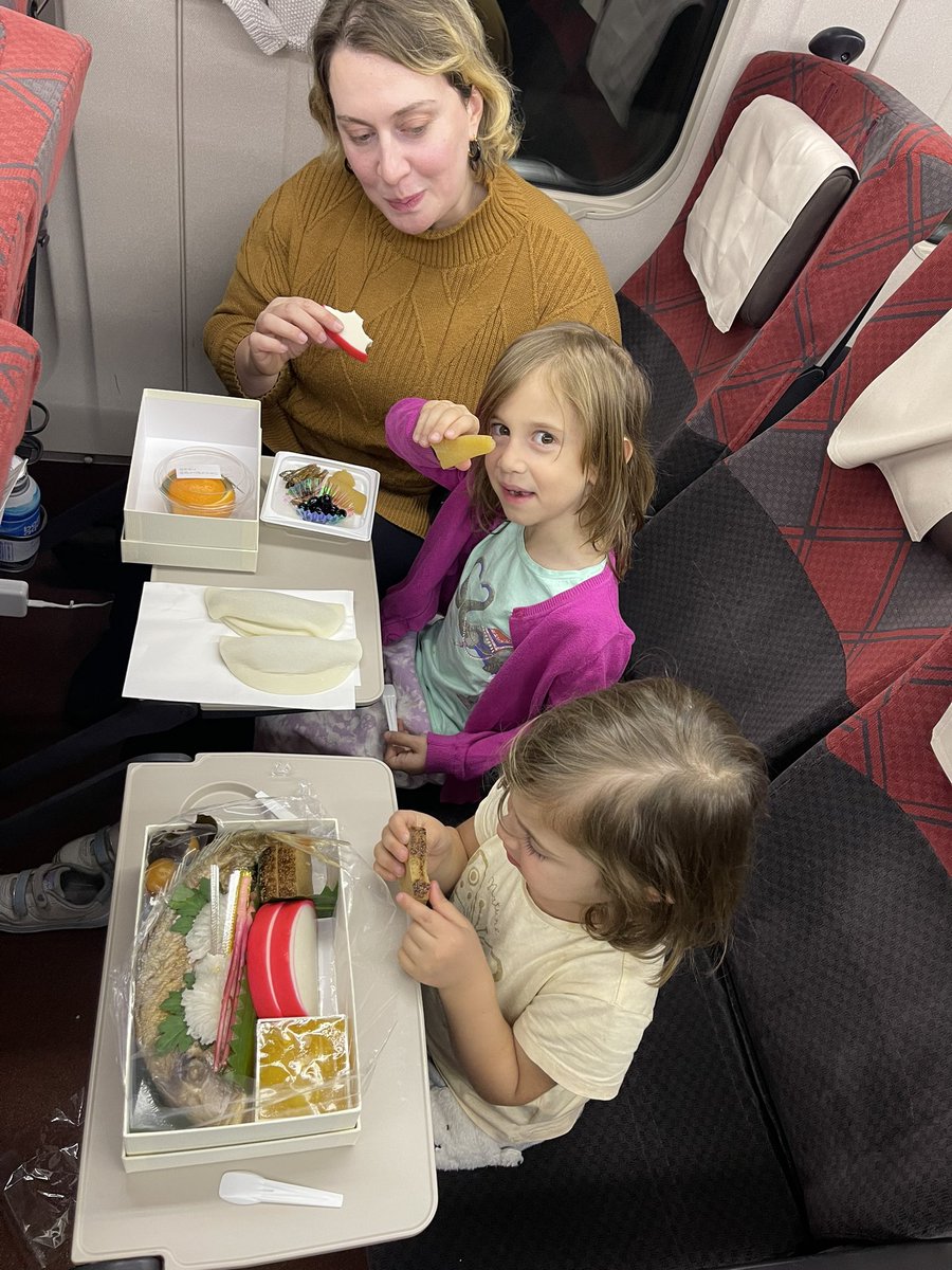 食料をほとんど持ってきておらず、停車中の新幹線で心配していましたが、幸運にも皇室より賜ったおせち弁当がありました。表現の仕切れないありがたい気持ちで頂きます。 