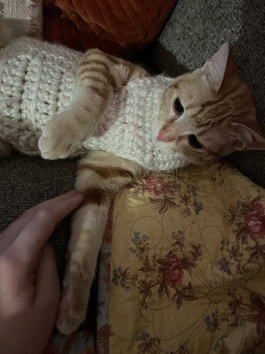 Update I made her a sweater, it’s certainly awkward for her but less stressful than cone 