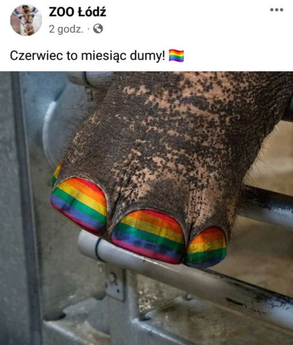Dlaczego cała Polska promuje zaburzenia psychiczne? 