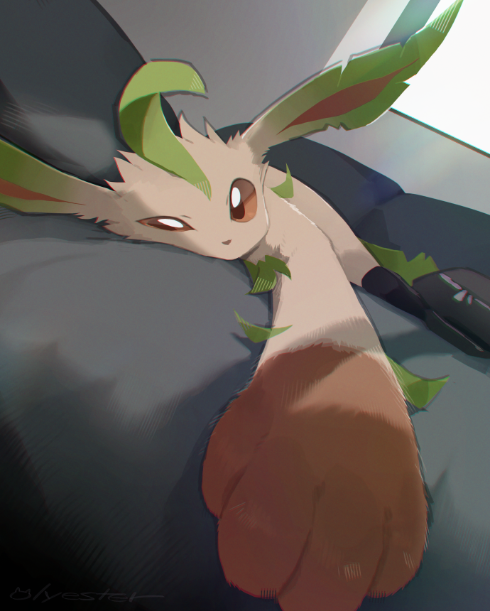 paws