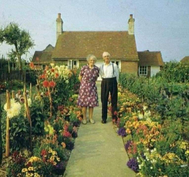 “She took the flowers and colors with her.” 