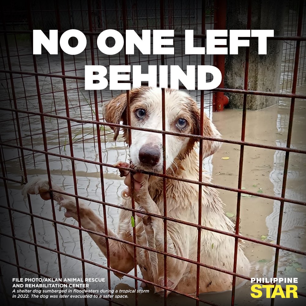 NO PETS LEFT BEHIND 🐈 🐕 

A gentle reminder to pet owners that our fur babies depend entirely on us for survival during disasters. 